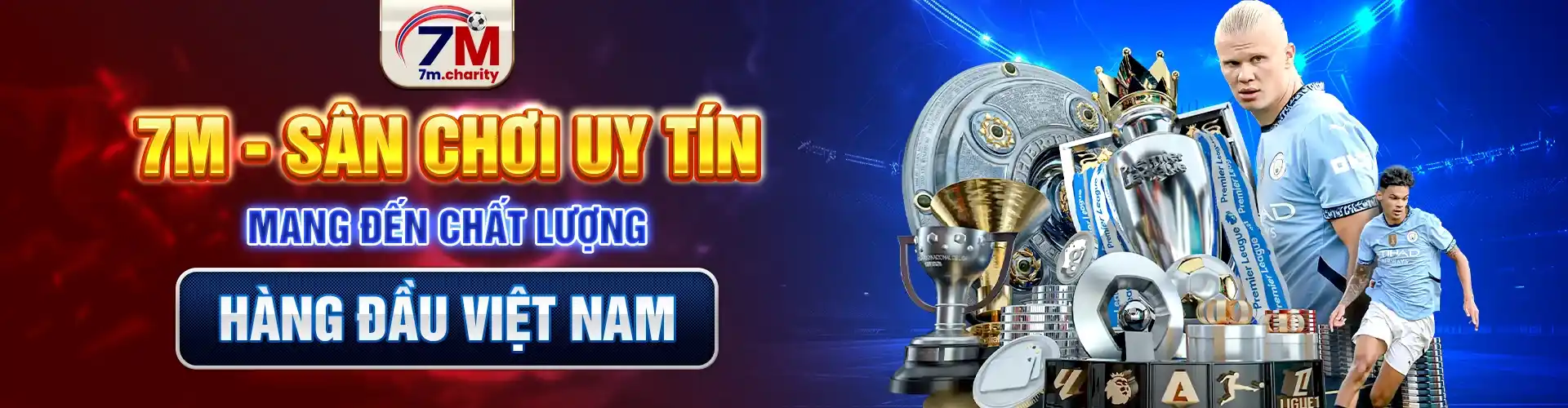 banner website